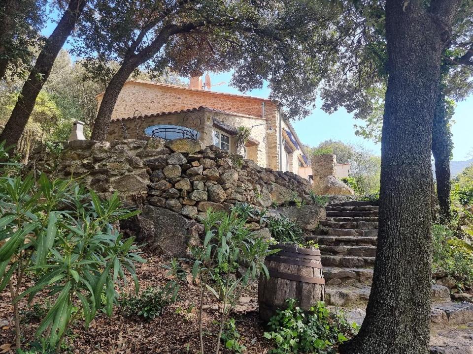 Villa La Bergerie Sorède Esterno foto