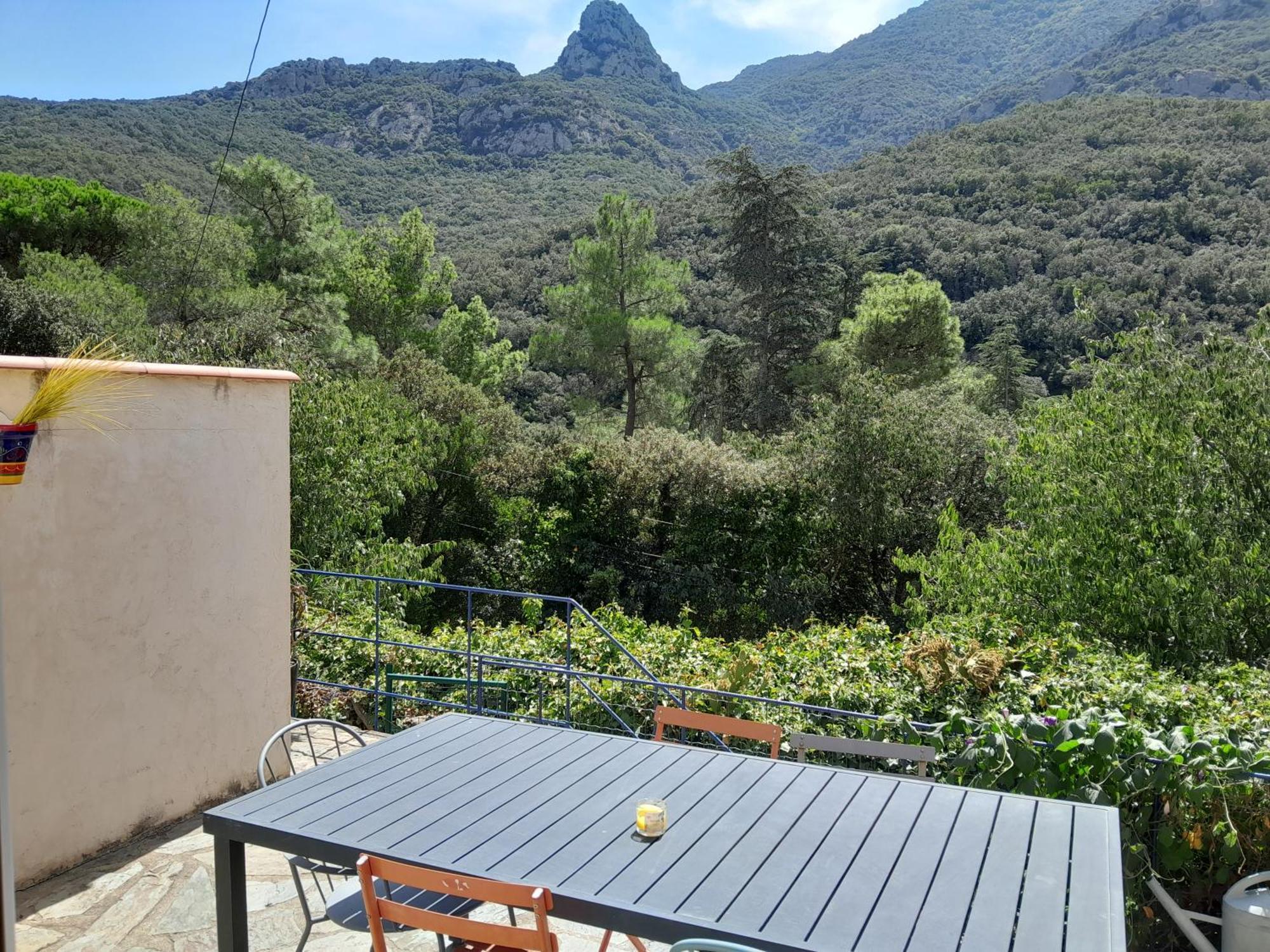 Villa La Bergerie Sorède Esterno foto