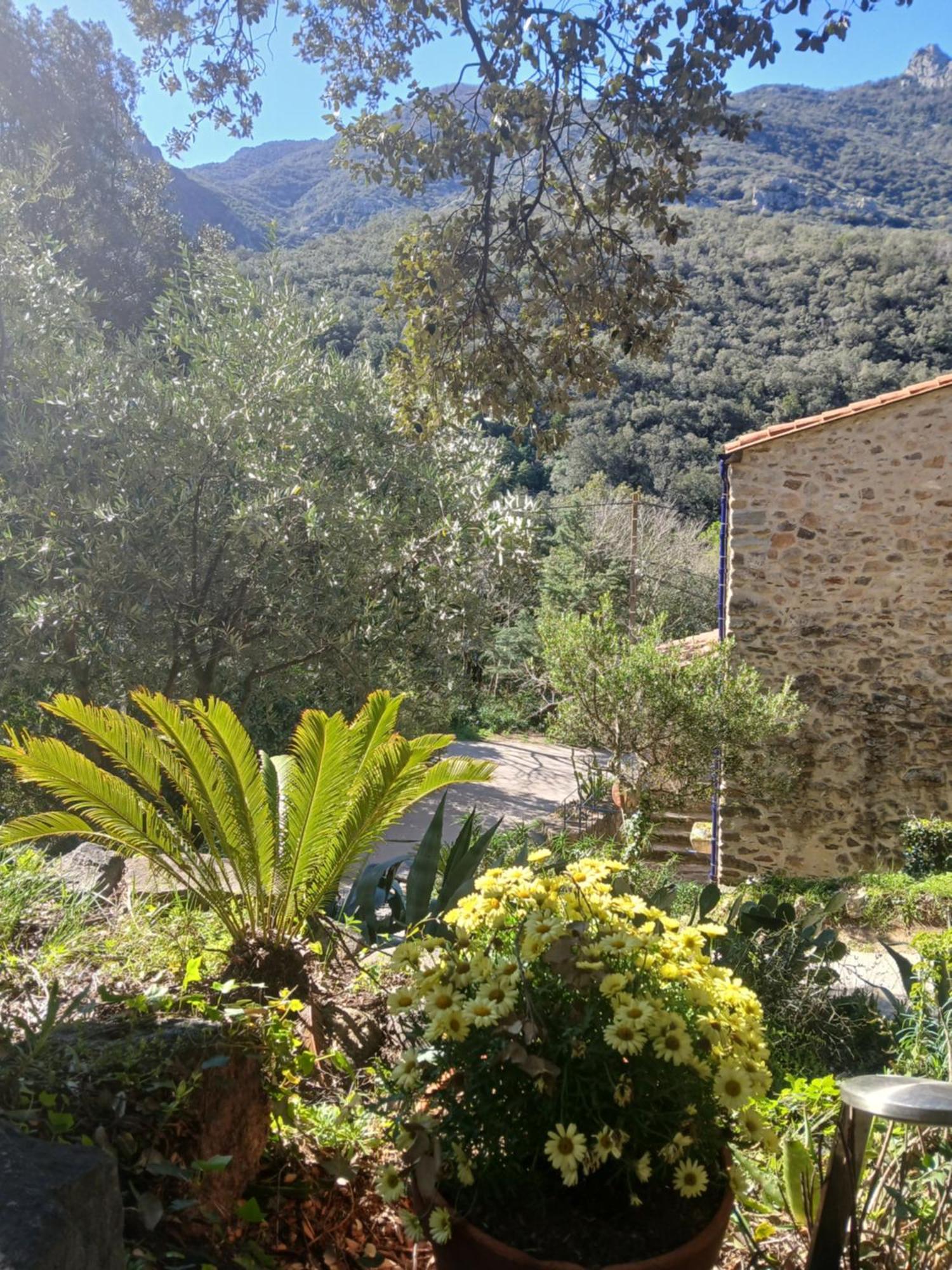 Villa La Bergerie Sorède Esterno foto