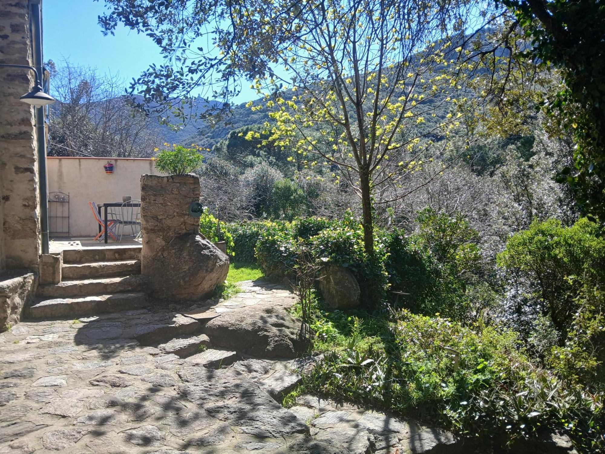 Villa La Bergerie Sorède Esterno foto