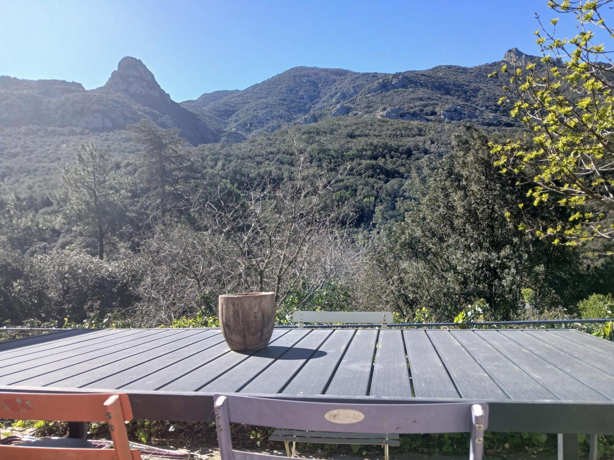 Villa La Bergerie Sorède Esterno foto